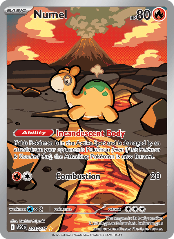 Numel - 223/217