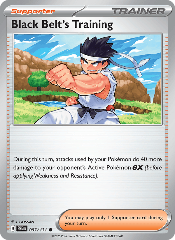 Black Belt's Training - 097/131 (Poke Ball Pattern)