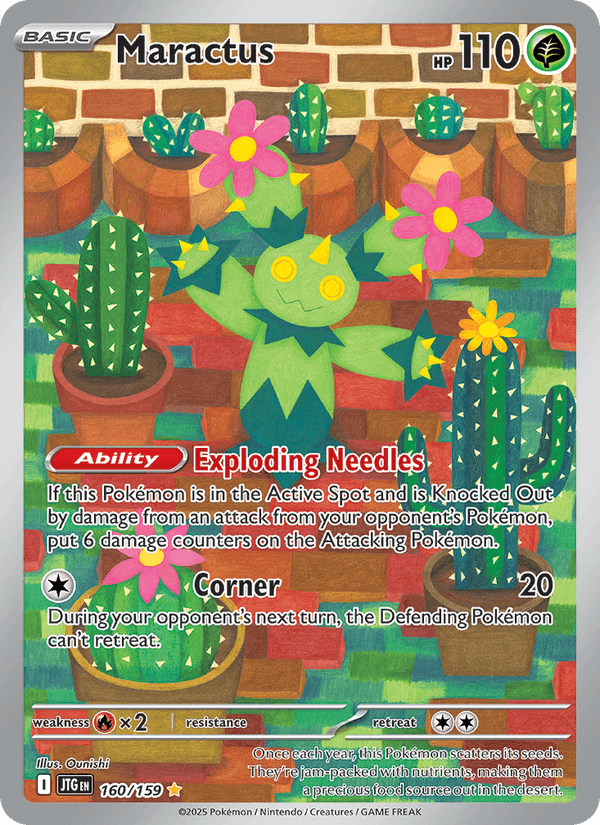 Maractus - 160/159