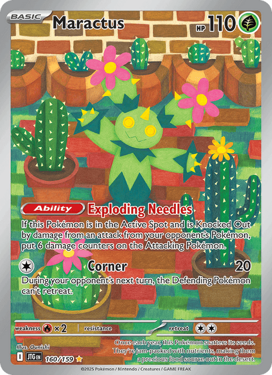 Maractus - 160/159