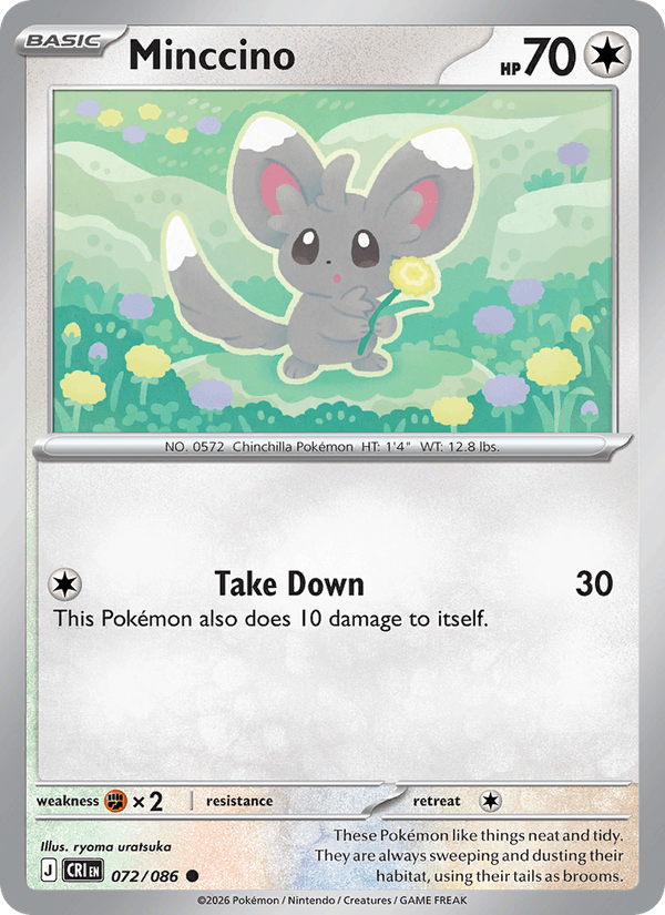 Minccino