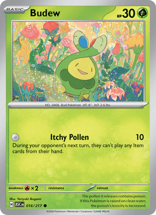 Budew - 016/217